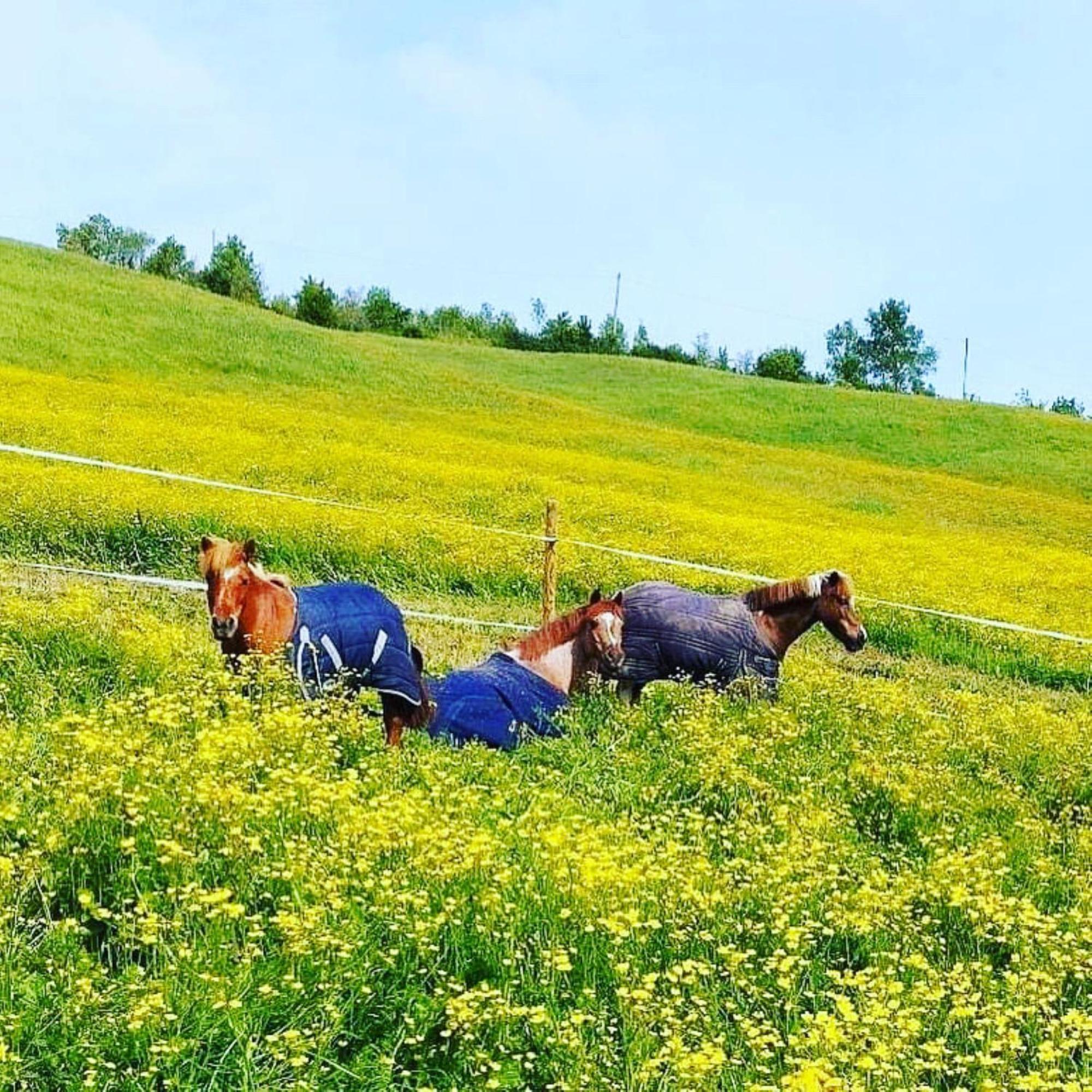 Vila Relais Ca Del Rio Botteghino di Zocca Exteriér fotografie